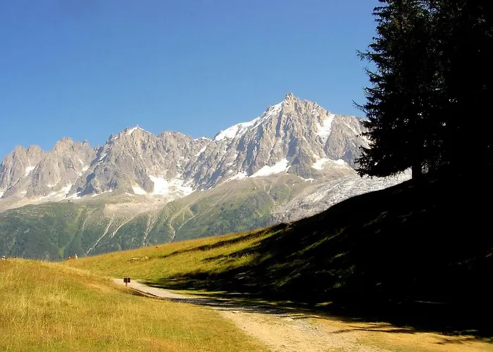 Facing The Chamonix Needles Apartamento *