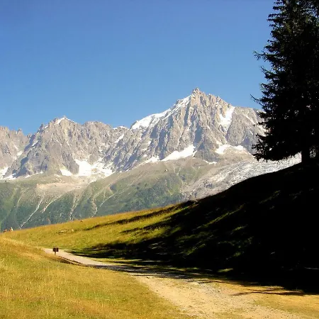 Facing The Chamonix Needles Apartment *